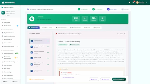 Review Output - Generated inspection report with confidence scores and annotations